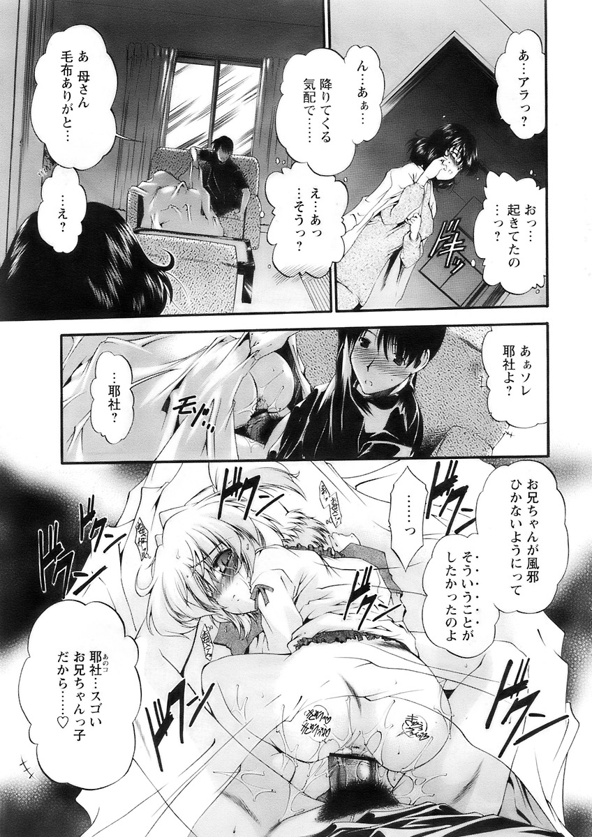 COMIC パピポ 2007年12月号