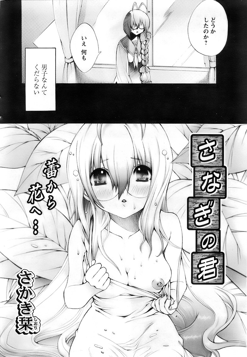 COMIC パピポ 2007年12月号