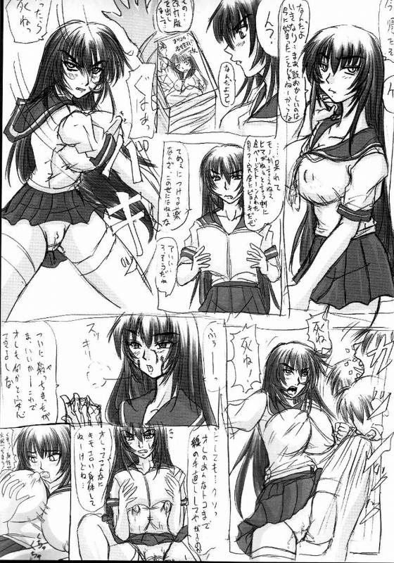 (C68) [のざらし (野晒惺)] 闘隷!杏姫様!!