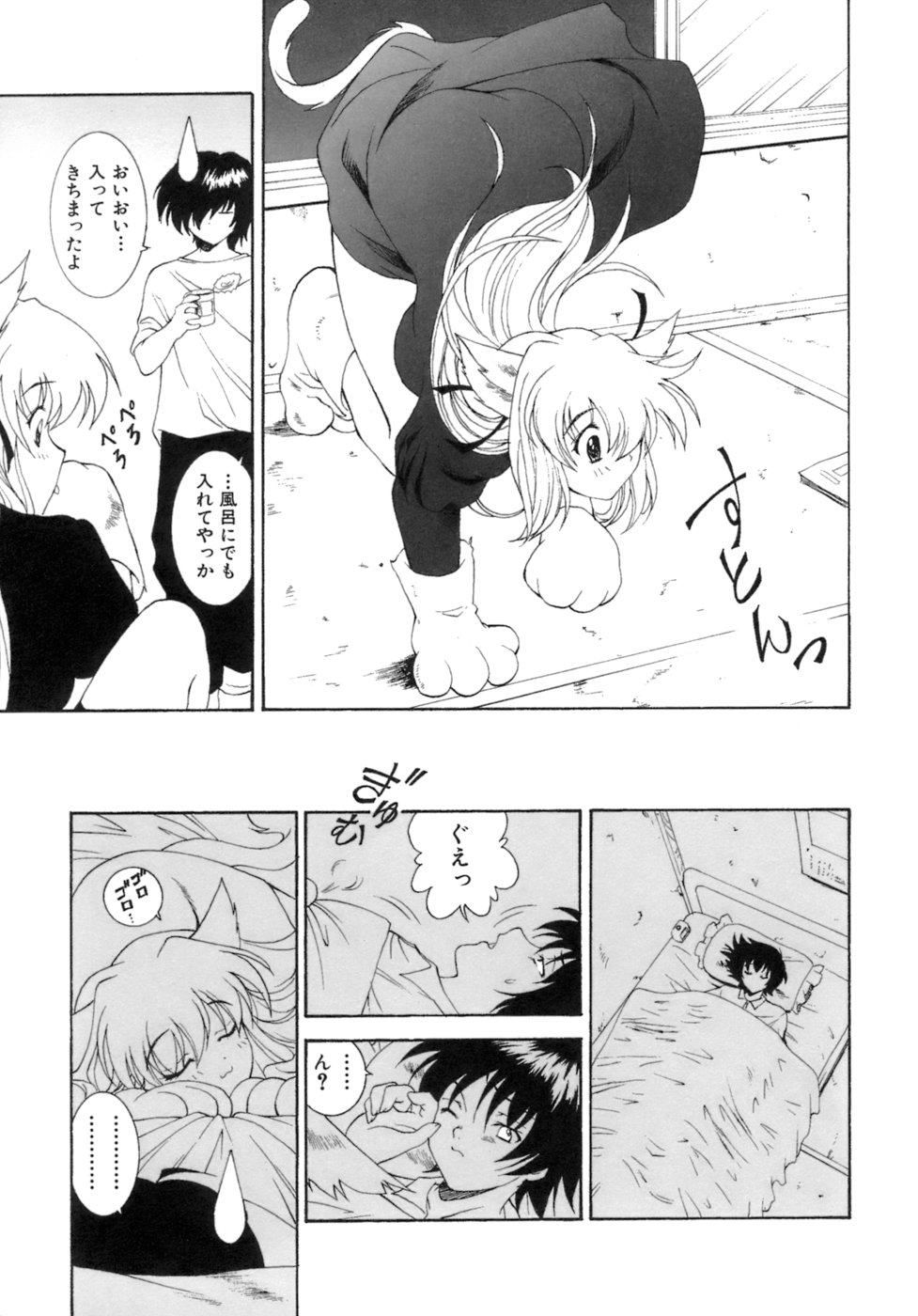 [錦ヶ浦鯉三郎] Mの二重奏