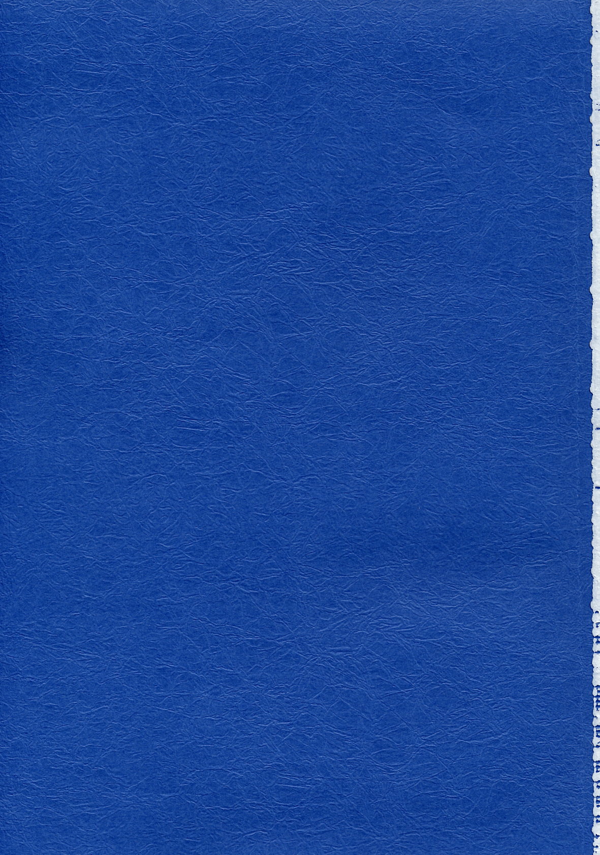 (C63) [U・A大作戦 (原田将太郎)] 瑠璃堂画報 CODE:19 (デッド・オア・アライブ)