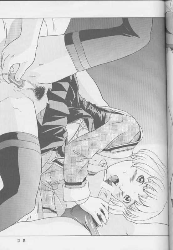 [モモンガ倶楽部 (林原ひかり)] I's アイズヒロイン官能イラスト集 (I"s)