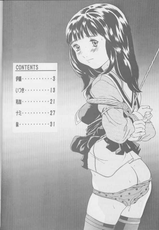 [モモンガ倶楽部 (林原ひかり)] I's アイズヒロイン官能イラスト集 (I"s)