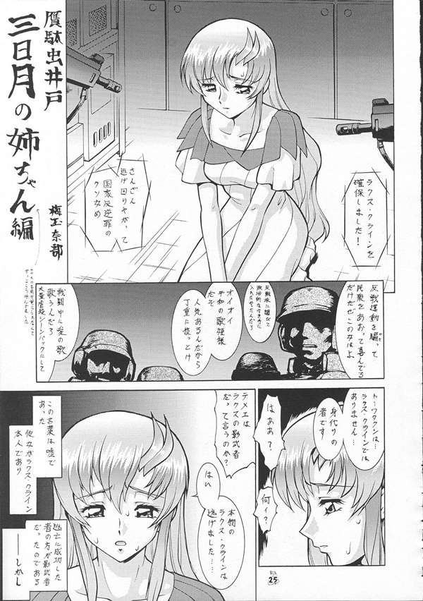 [釣りキチ同盟] SEEDファンのお姉ちゃんが見たら怒るから見ないで頂戴本2 (機動戦士ガンダムSEED)
