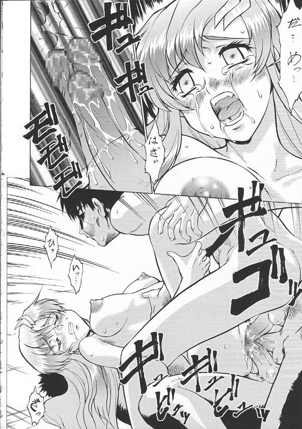 [釣りキチ同盟] SEEDファンのお姉ちゃんが見たら怒るから見ないで頂戴本2 (機動戦士ガンダムSEED)