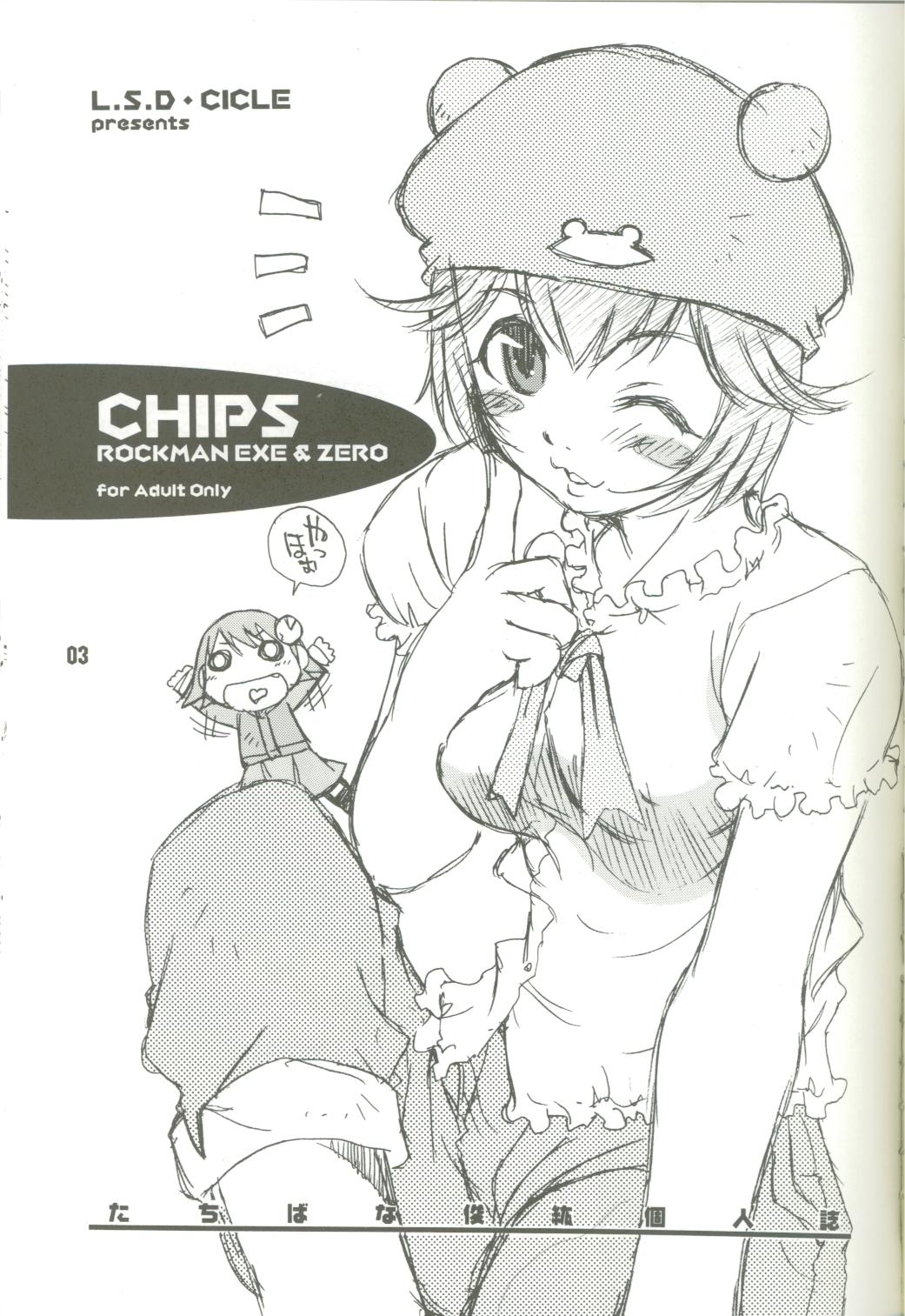 [L.S.D・CICLE (たちばなとしひろ)] CHIPS (ロックマンエグゼ、ロックマンゼロ)