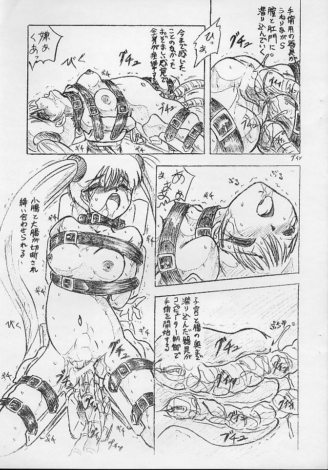 (C63) [すもも堂(すももEX)] びびあん別冊.10 電子の魔女 (機動戦艦ナデシコ)