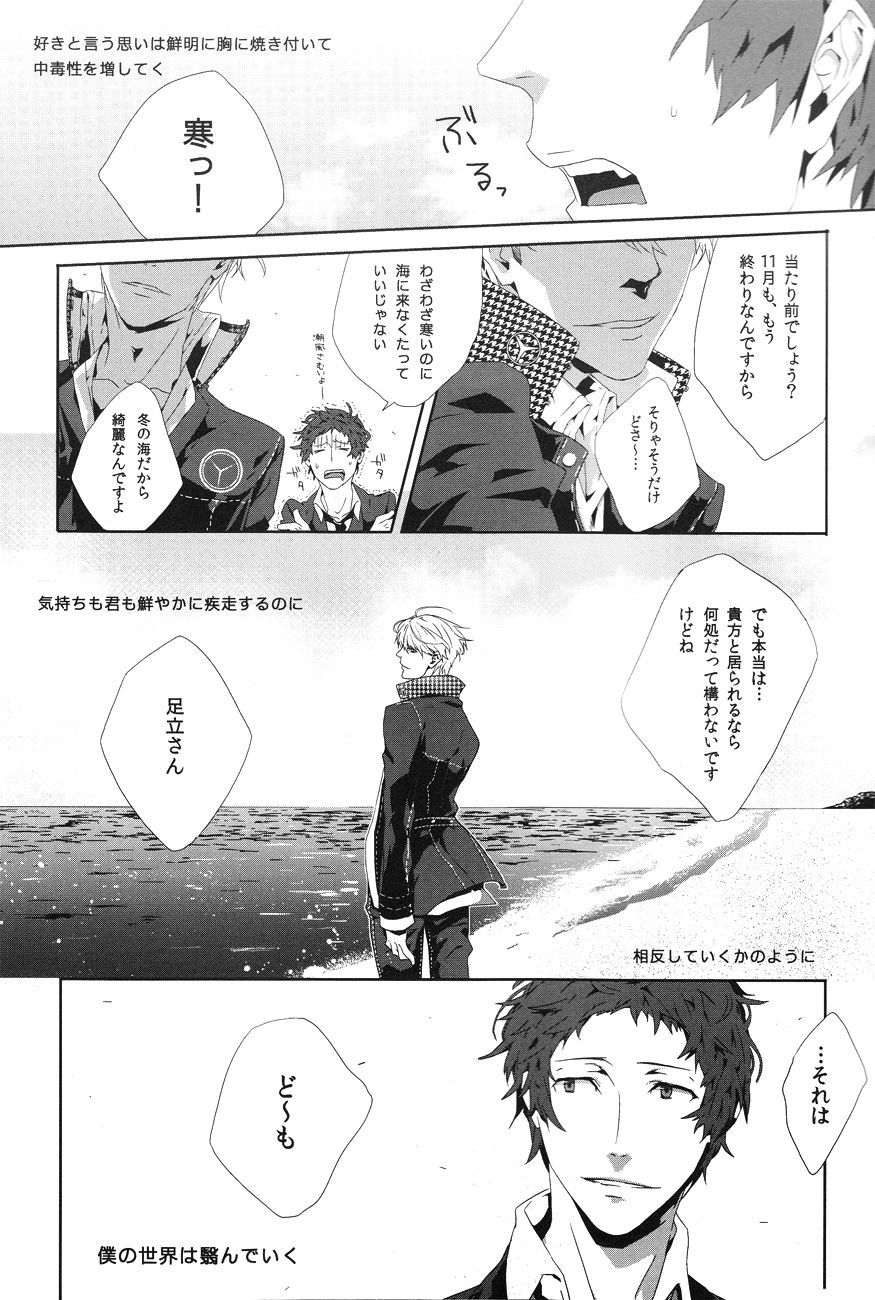 (SPARK6) [shell (花屋)] Last Night (ペルソナ4)