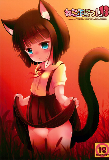 (C92) [きゃっといいえっくす (猫兎)] ねこぷにっ! vol.13