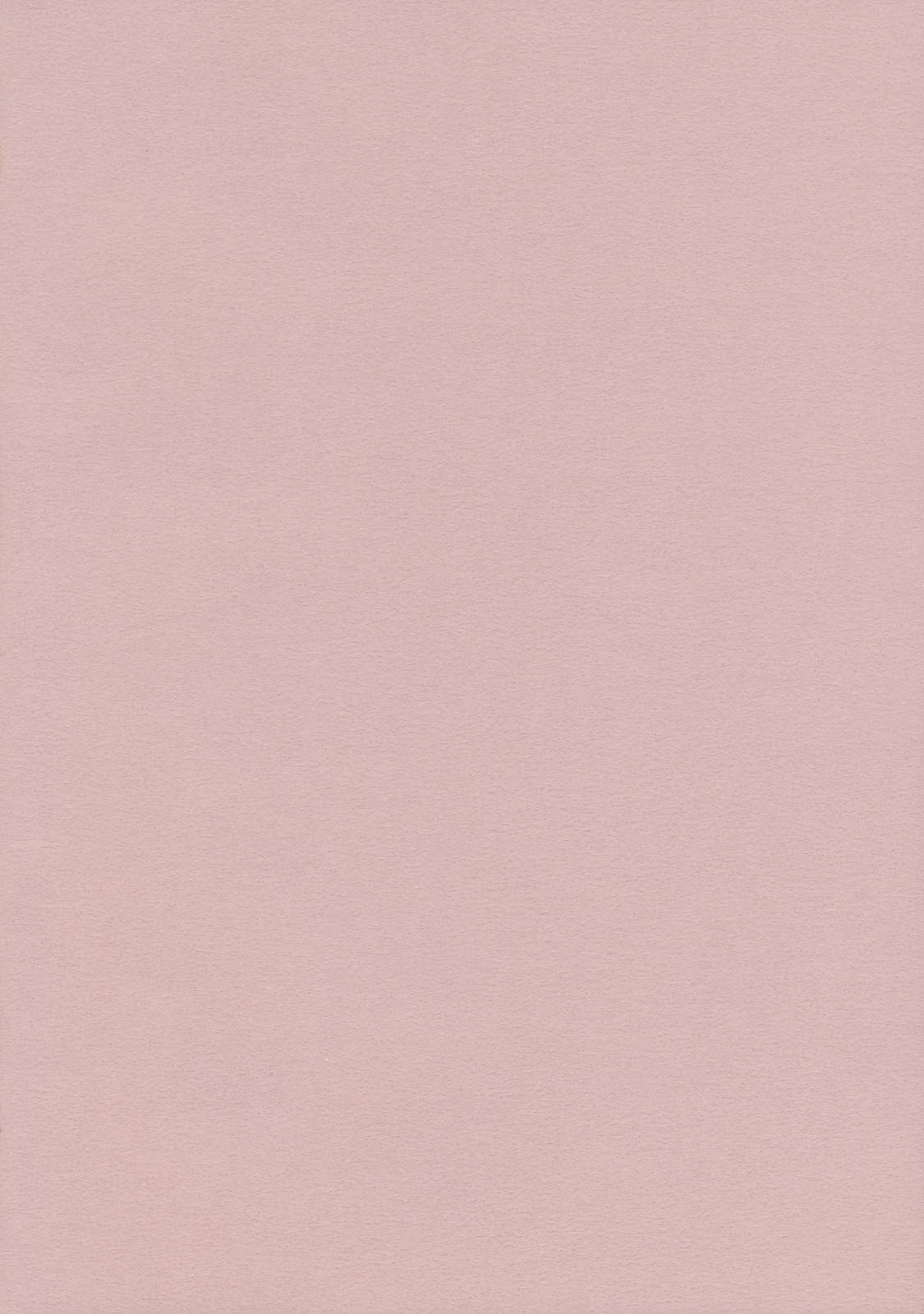 (例大祭8) [夢の影 (霧野蒼也)] Lunchi Pack (東方Project) [中国翻訳]