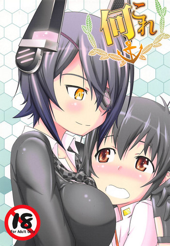 (C88) [六道塾 (うなむ)] 何これ (艦隊これくしょん -艦これ-)