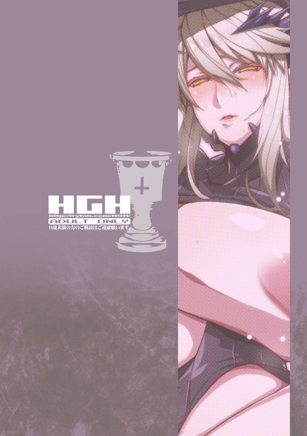[HGH (HG茶川)] HGUC#13 リリィに見られながら槍オルタが悶える本 (Fate/Grand Order) [DL版]