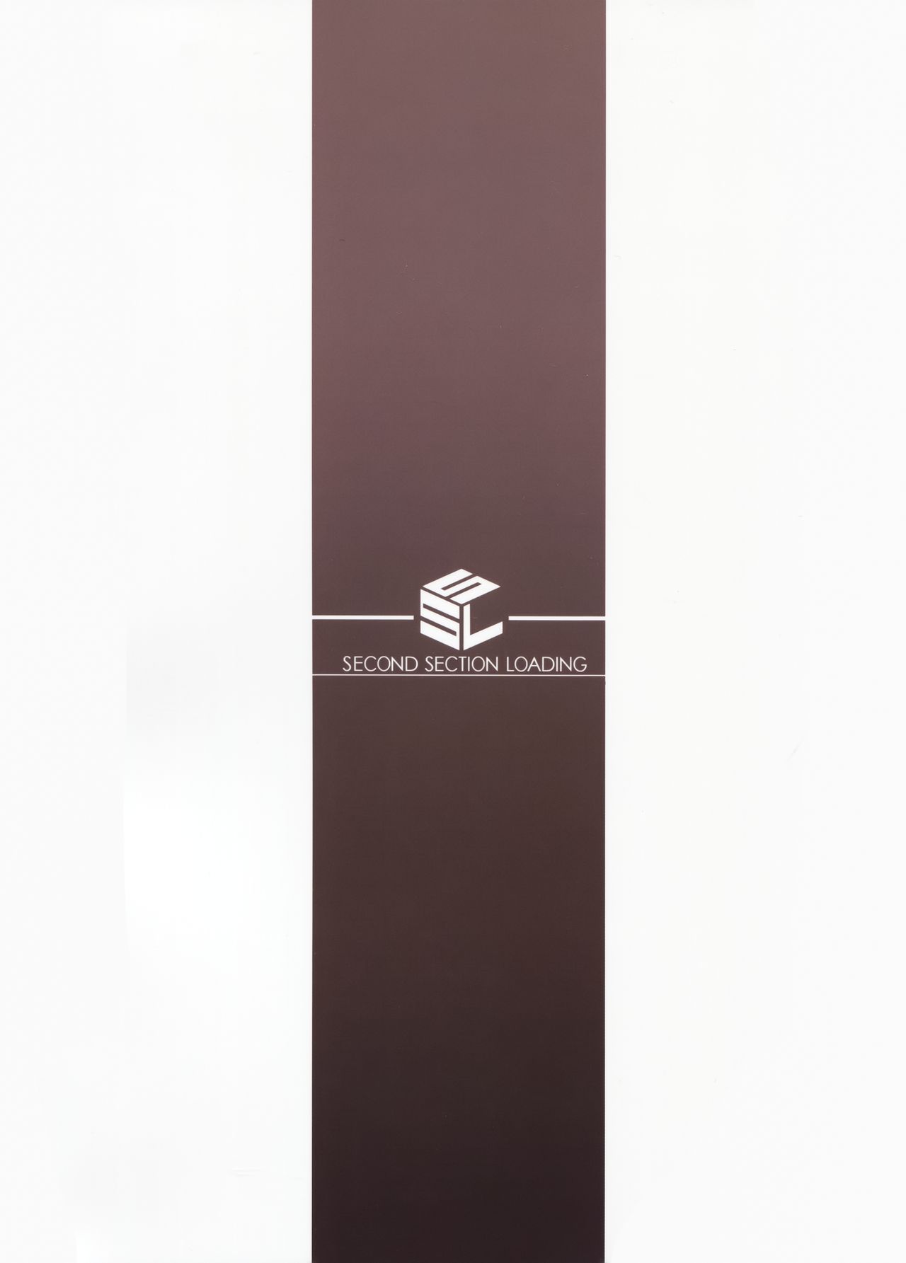 (C94) [S.S.L (柳)] ライダーさんと押入れ。 (Fate/stay night) [中国翻訳]