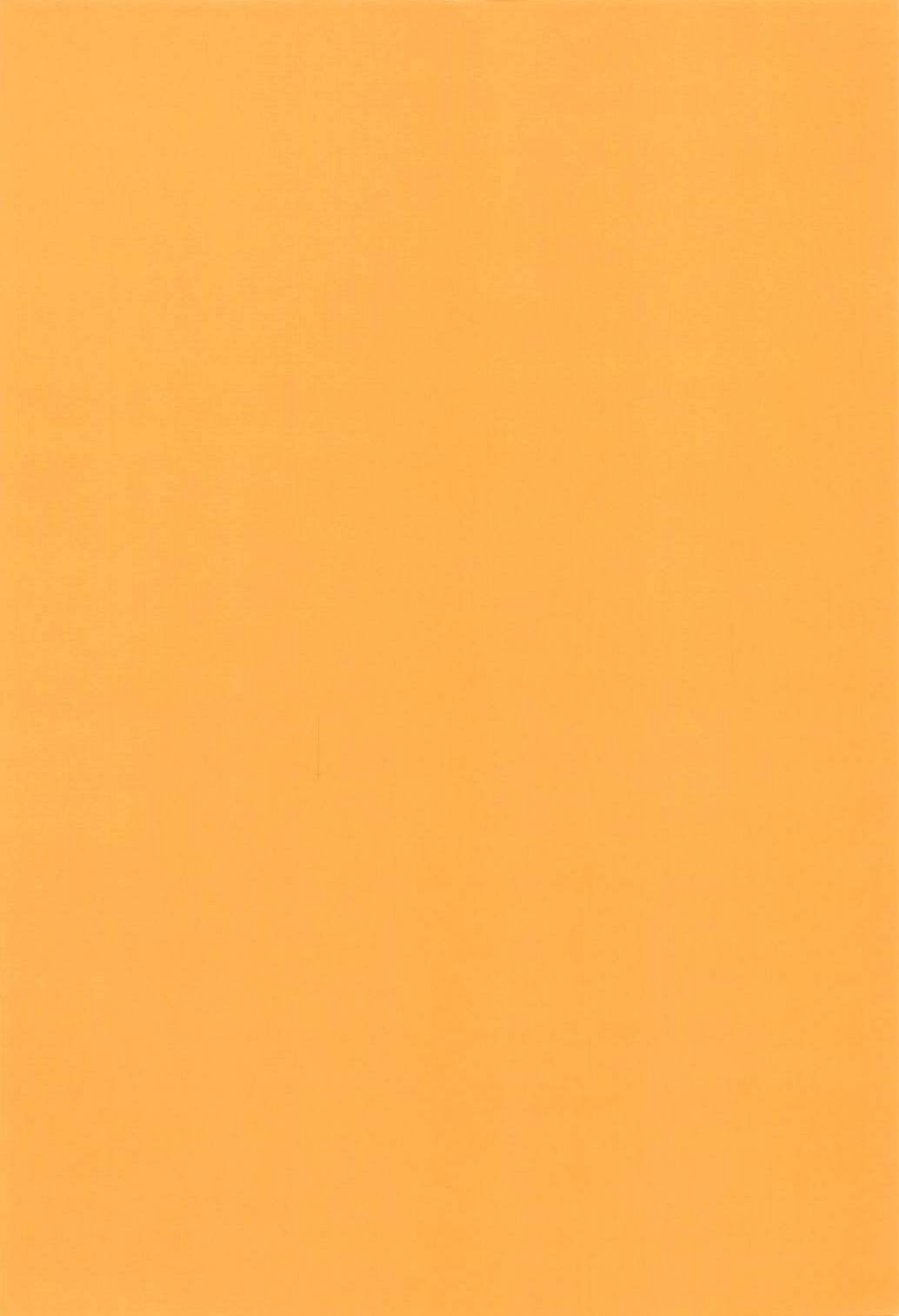 (C94) [じゅうろくいんち (あきん)] ケ35a (アズールレーン)