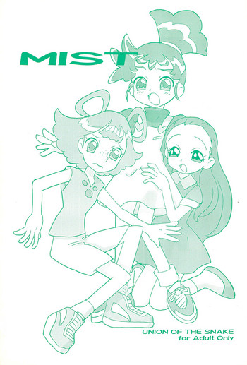 (C65) [UNION OF THE SNAKE (新田真子)] MIST (カスミン)