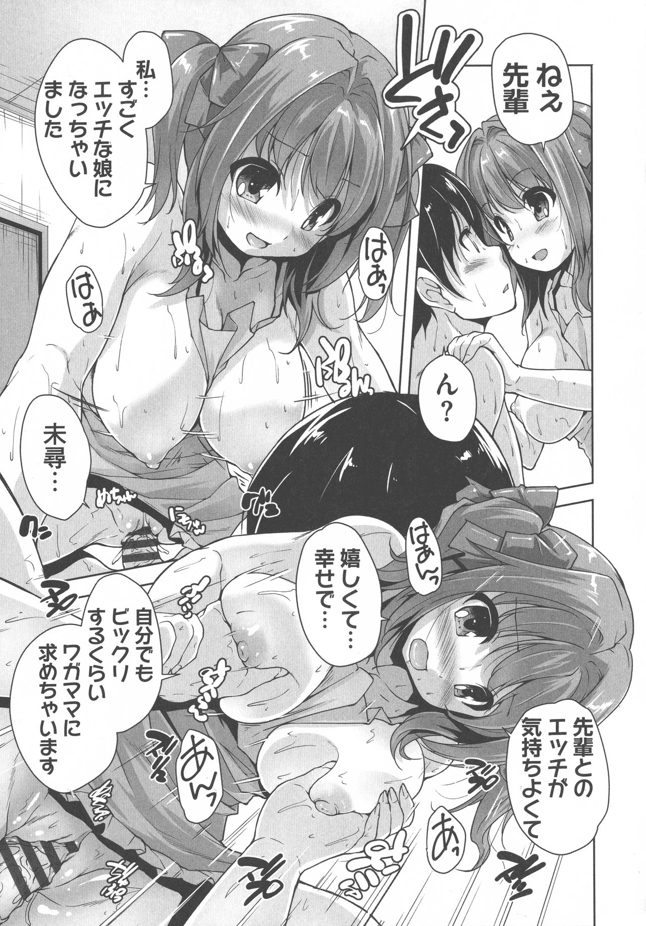 [西崎 えいむ, まどそふと] ワガママハイスペック Adult Edition