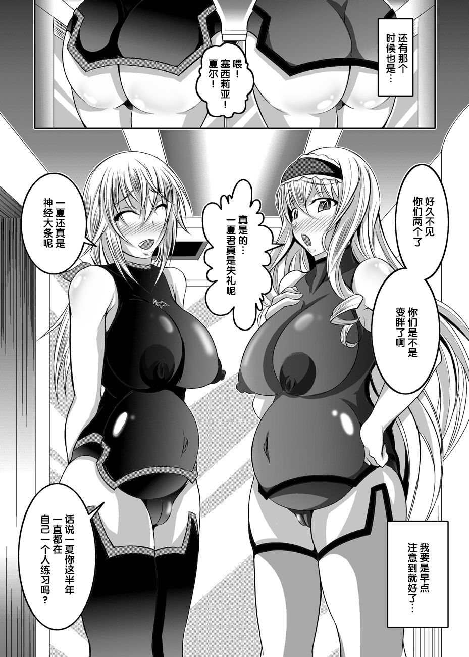[Bitch牧場 (牧場主K)] GIRLS MEET DQN'S TINPO (IS＜インフィニット・ストラトス＞) [中国翻訳] [DL版]