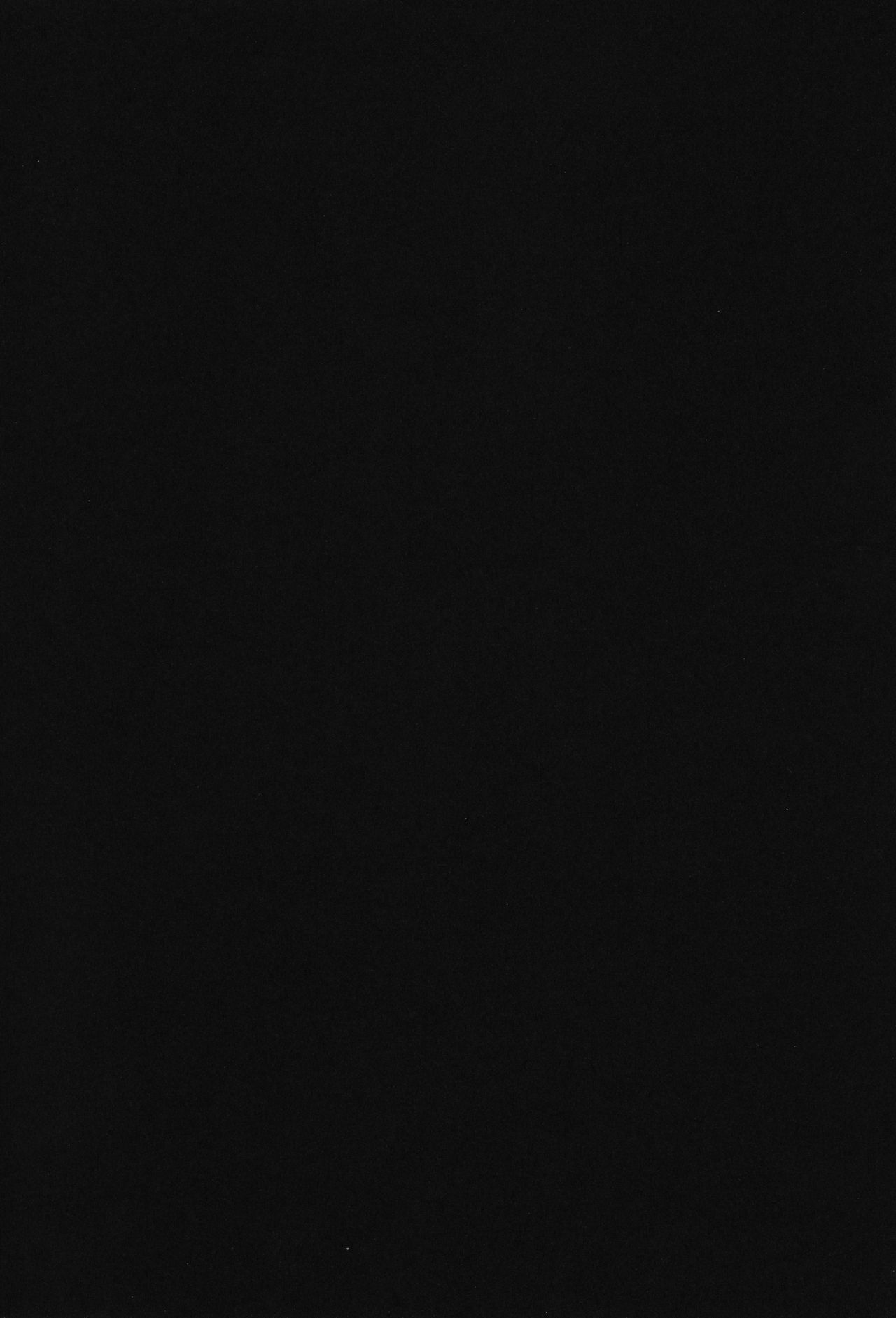 (C76) [Air-bird (南雲くー)] HAZARD:D (BLACK LAGOON, ヨルムンガンド)