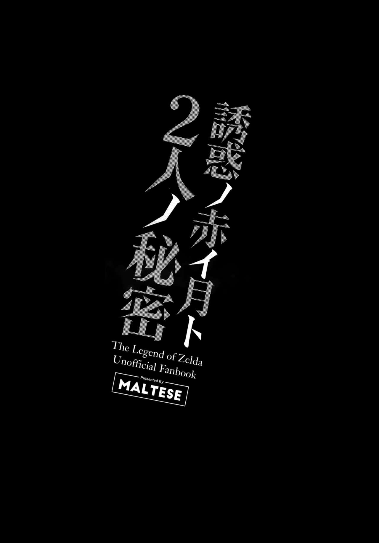 (C93) [まるちぃず (るんるん)] 誘惑の赤い月と二人の秘密 (ゼルダの伝説) [中国翻訳]