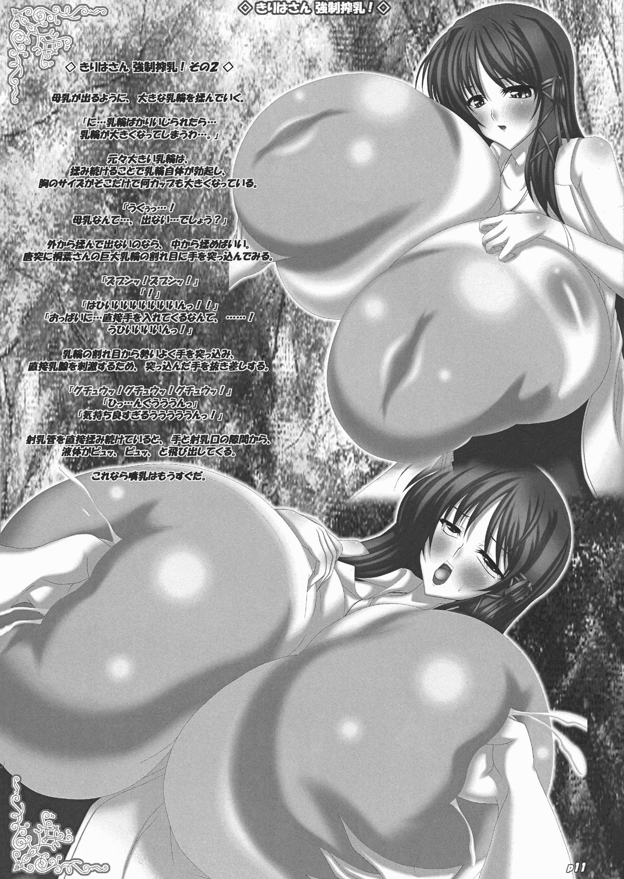 (C79) [Ano Karis (飛鳥音也)] 突撃! 乳 会長 (FORTUNE ARTERIAL)