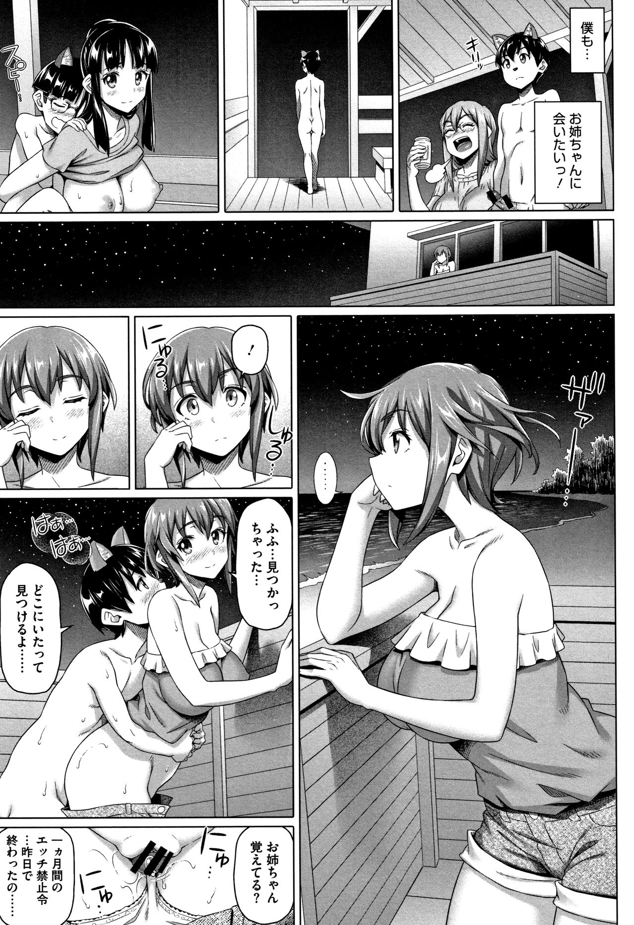 [白野じん] 僕の素敵なお姉ちゃん + 4Pリーフレット