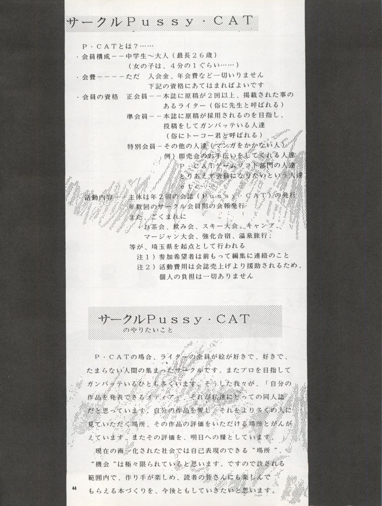 (C42) [Pussy・CAT制作委員会 (よろず)] Pussy・CAT Vol.22 パイちゃん本 2 (よろず)