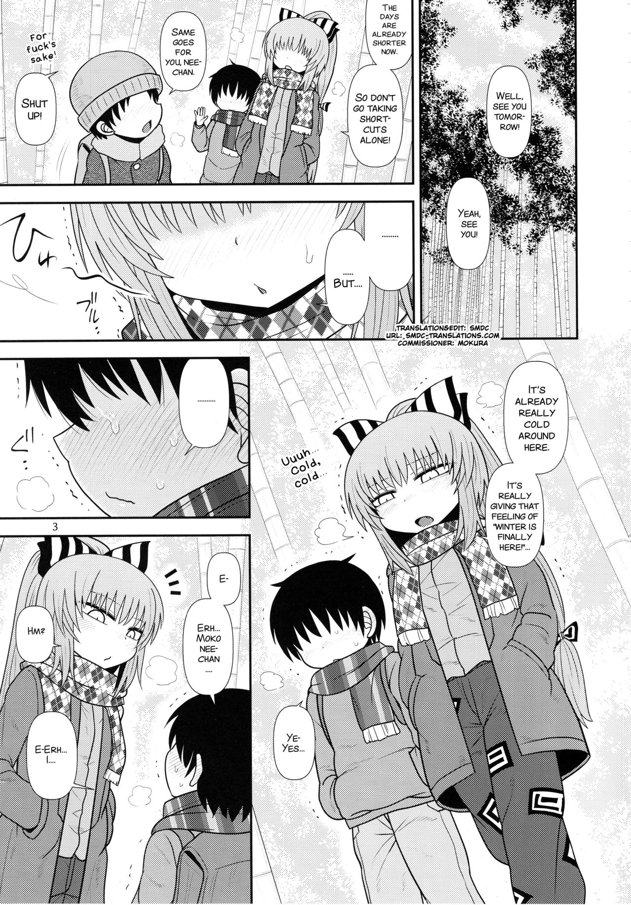 (C93) [川豚毒 (加藤フグオ)] するだけ拾伍。 (東方Project) [英訳]