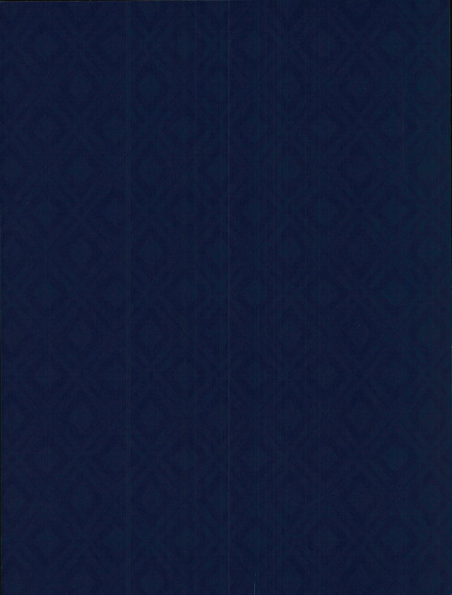 [しばらくたつえく (切々)] 楽しいことだけかんがえてて (弱虫ペダル)