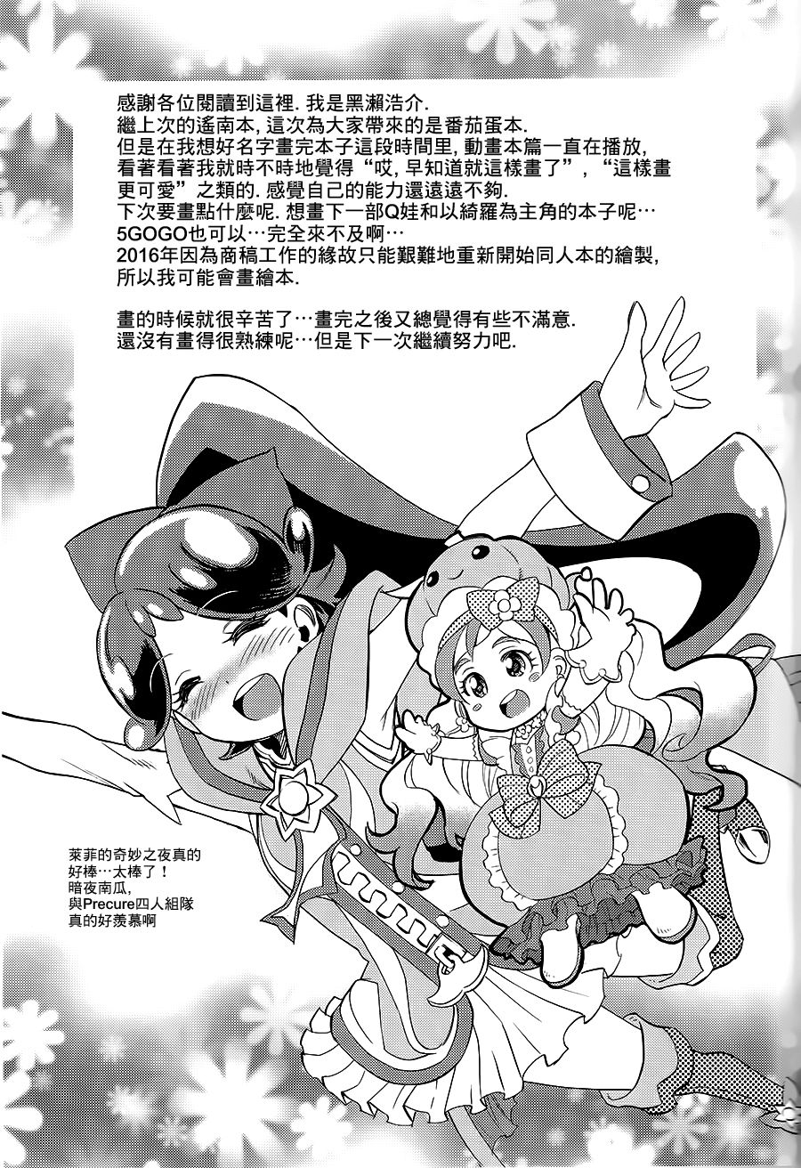 (C89) [おもいで広場 (黒瀬浩介)] My Princess My Darling！ (Go! プリンセスプリキュア)[中国翻訳]