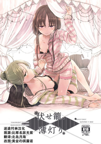 (例大祭15) [スアリテスミ (ひそな)] 伏せ籠、薄灯り (東方Project) [中国翻訳]