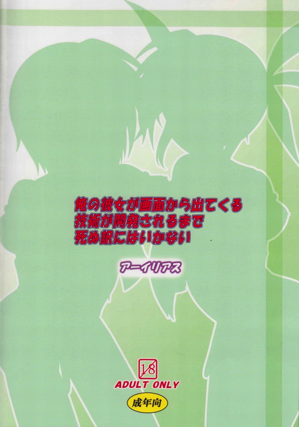 (C84) [アーイリアス (やまぐち羽轟)] 俺の彼女が画面から出てくる技術が開発されるまで死ぬ訳にはいかない (魔法少女リリカルなのは)