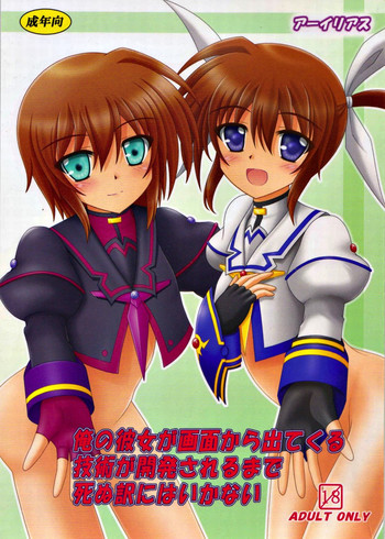 (C84) [アーイリアス (やまぐち羽轟)] 俺の彼女が画面から出てくる技術が開発されるまで死ぬ訳にはいかない (魔法少女リリカルなのは)