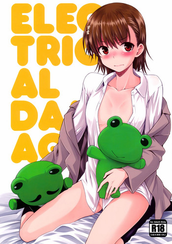 (C91) [Aspergillus (おから)] ELECTRICAL DAMAGE (とある科学の超電磁砲) [英訳]