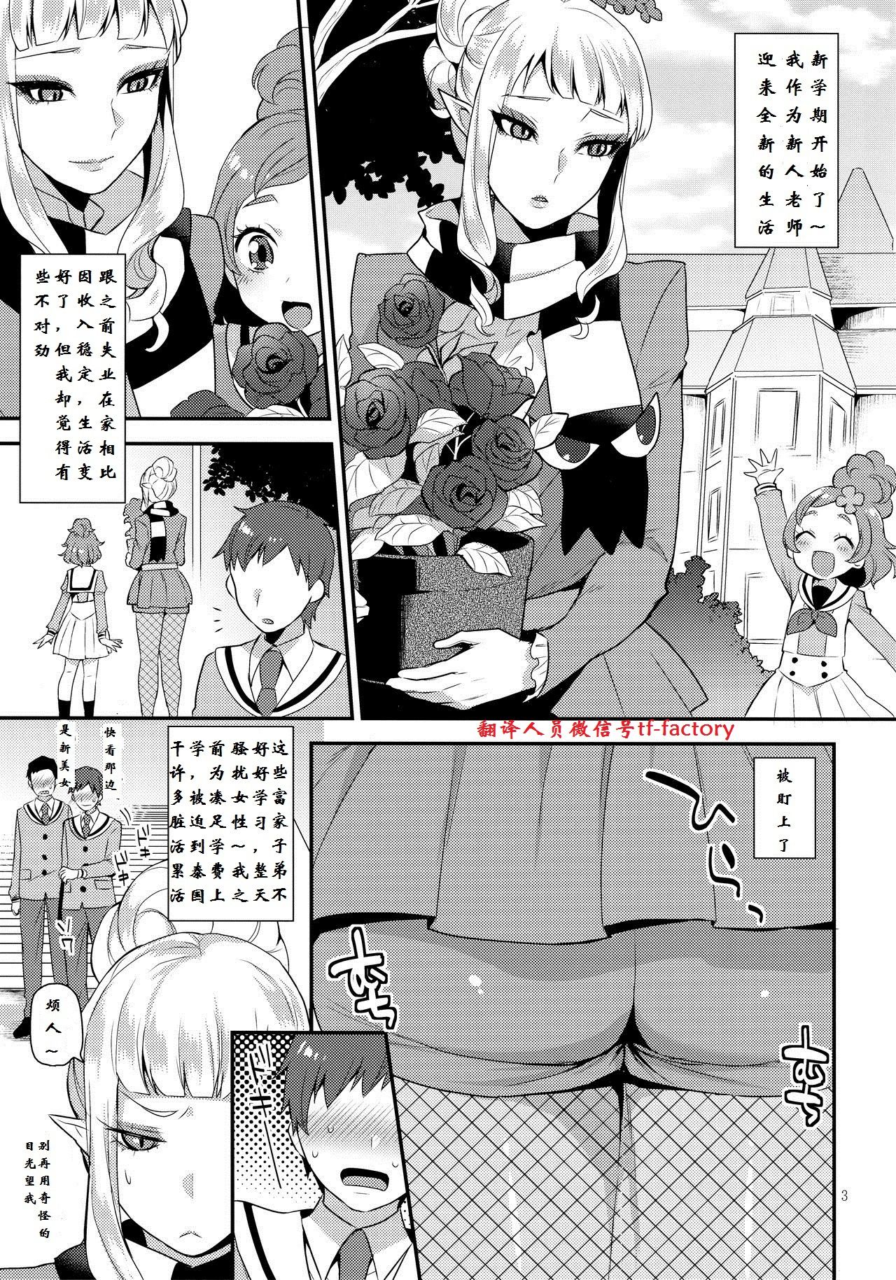 (ふたけっと13) [グラナダの空 (十はやみ)] おとうとのいぬまに (Go!プリンセスプリキュア) [中国翻訳]