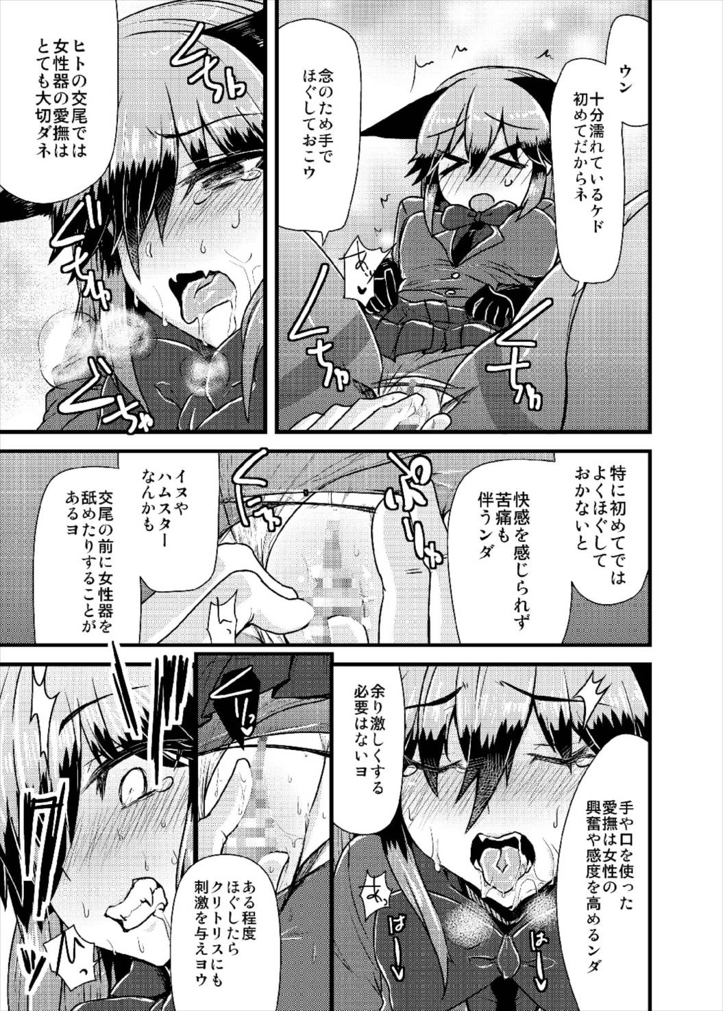 (ジャパリケット3) [かうじょん (ぇぃたいさ)] ギンギツネちゃんにヒトの交尾をおしえたいっ (けものフレンズ)