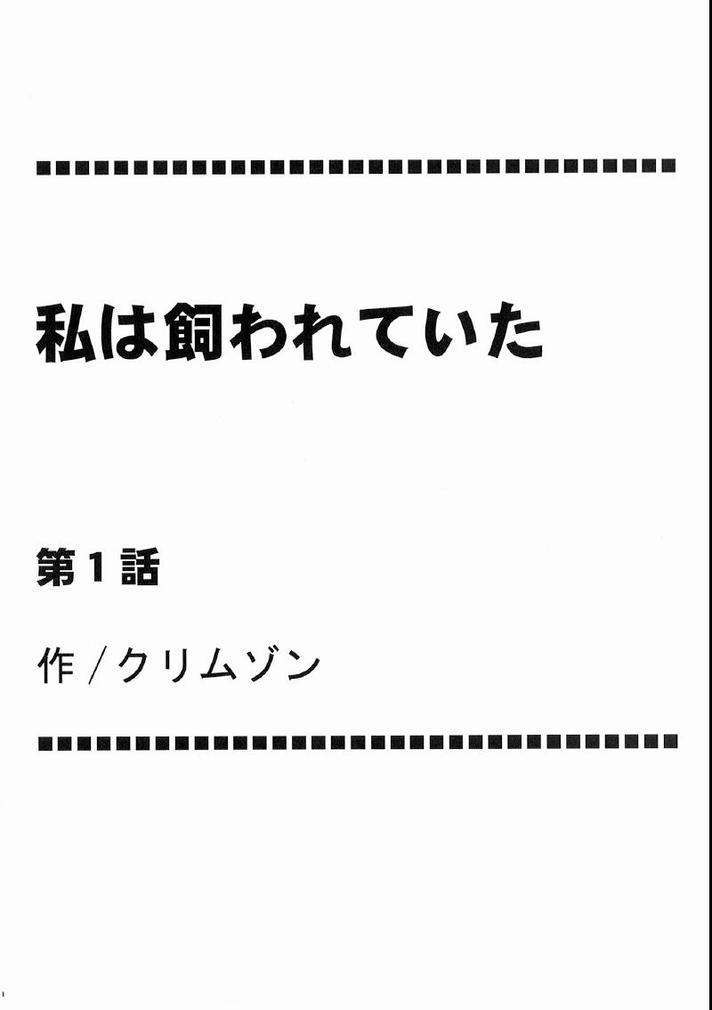 [クリムゾン] 私は飼われていた (ファイナルファンタジーXIII) [中国翻訳]