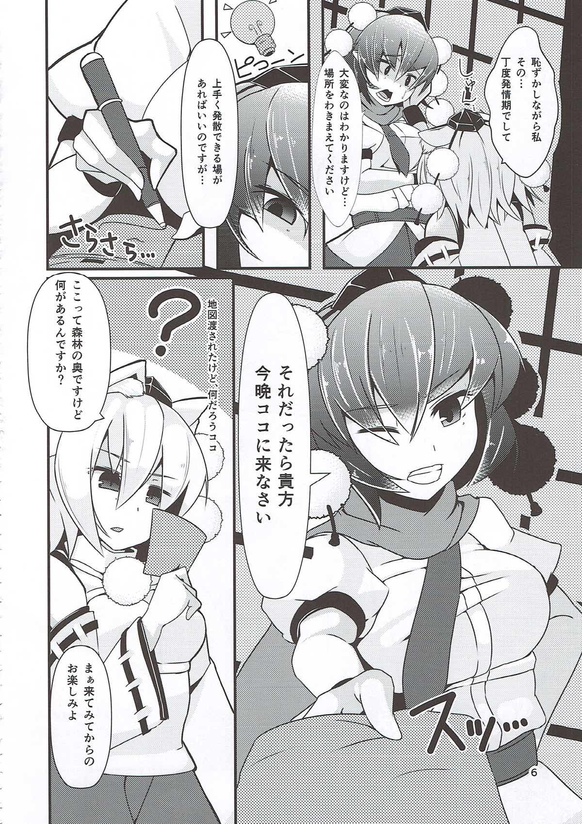 (紅楼夢9) [何かの部屋 (平)] 天狗弄り (東方Project)