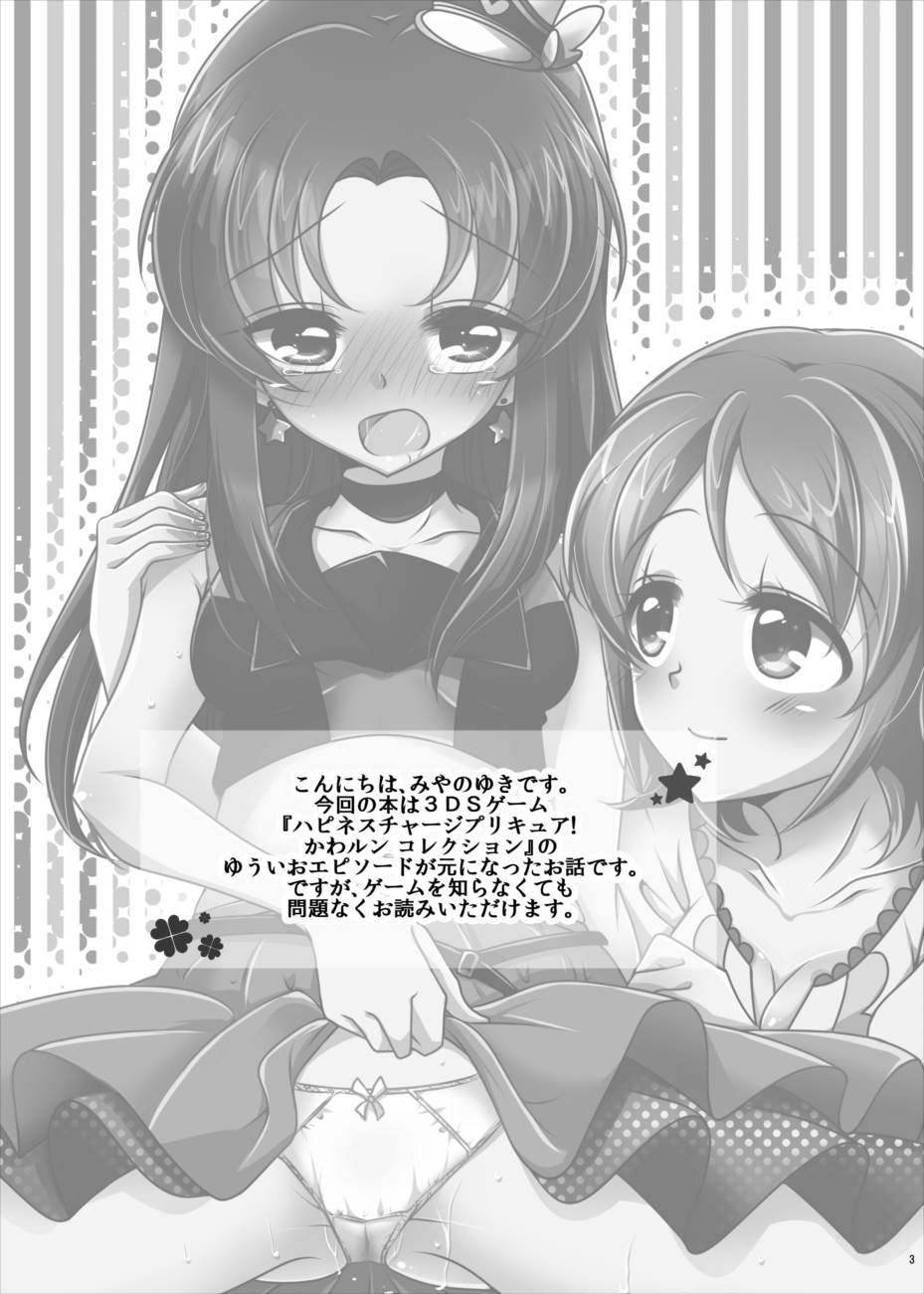 (C88) [ろーぷあいらんど (みやのゆき)] なんてったっていおな (ハピネスチャージプリキュア!)