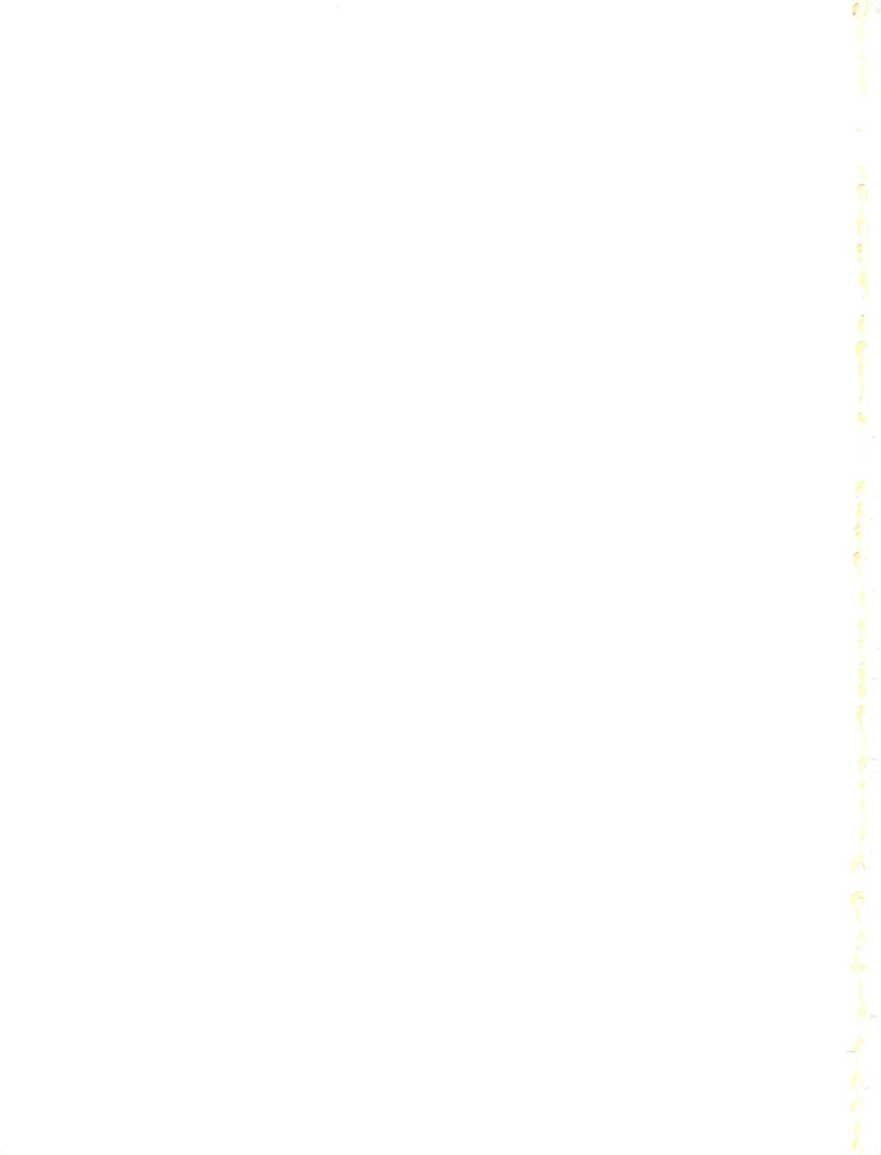 (C37) [スタジオTAMO (大巨神)] Magical Ponポンぽん 6 (魔法のスターマジカルエミ)