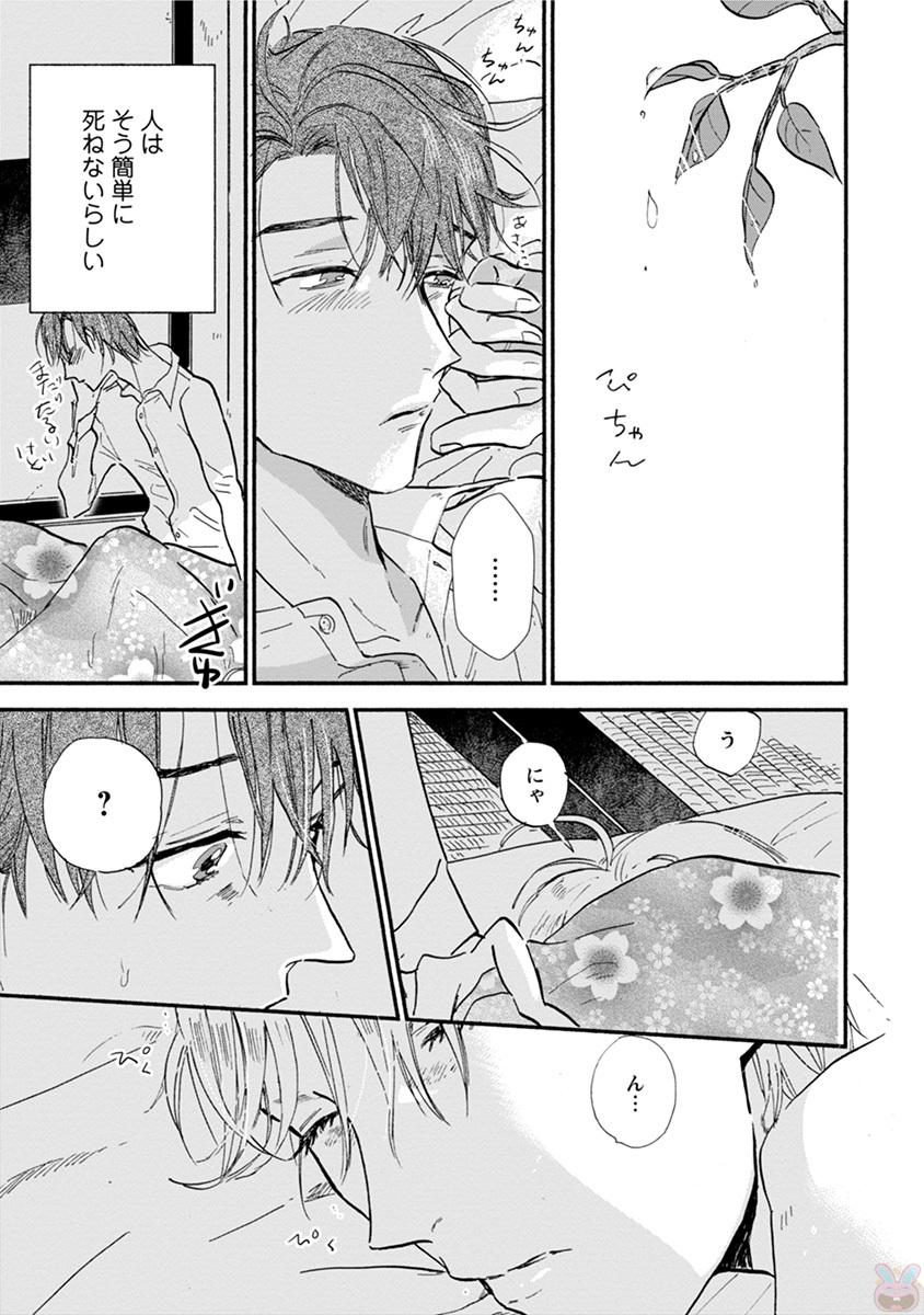 コミックマージナルvol.11