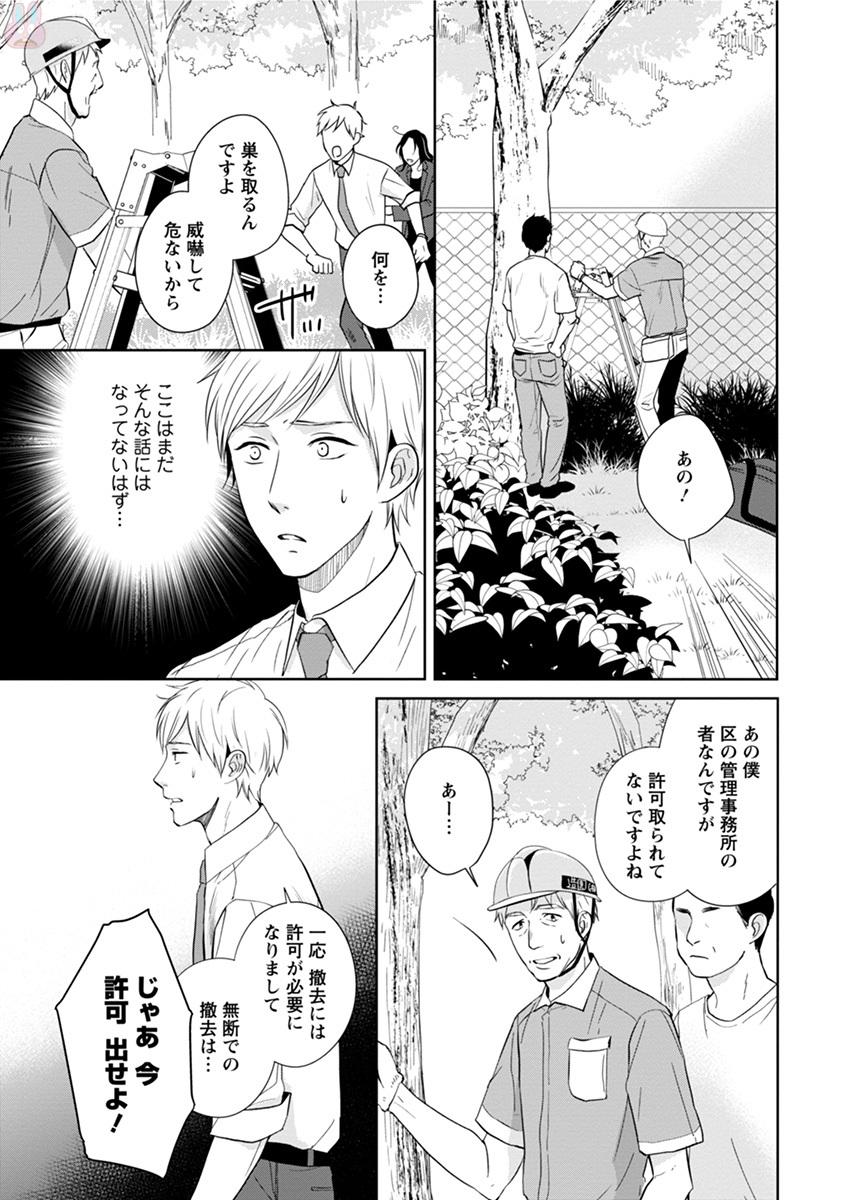 コミックマージナルvol.11