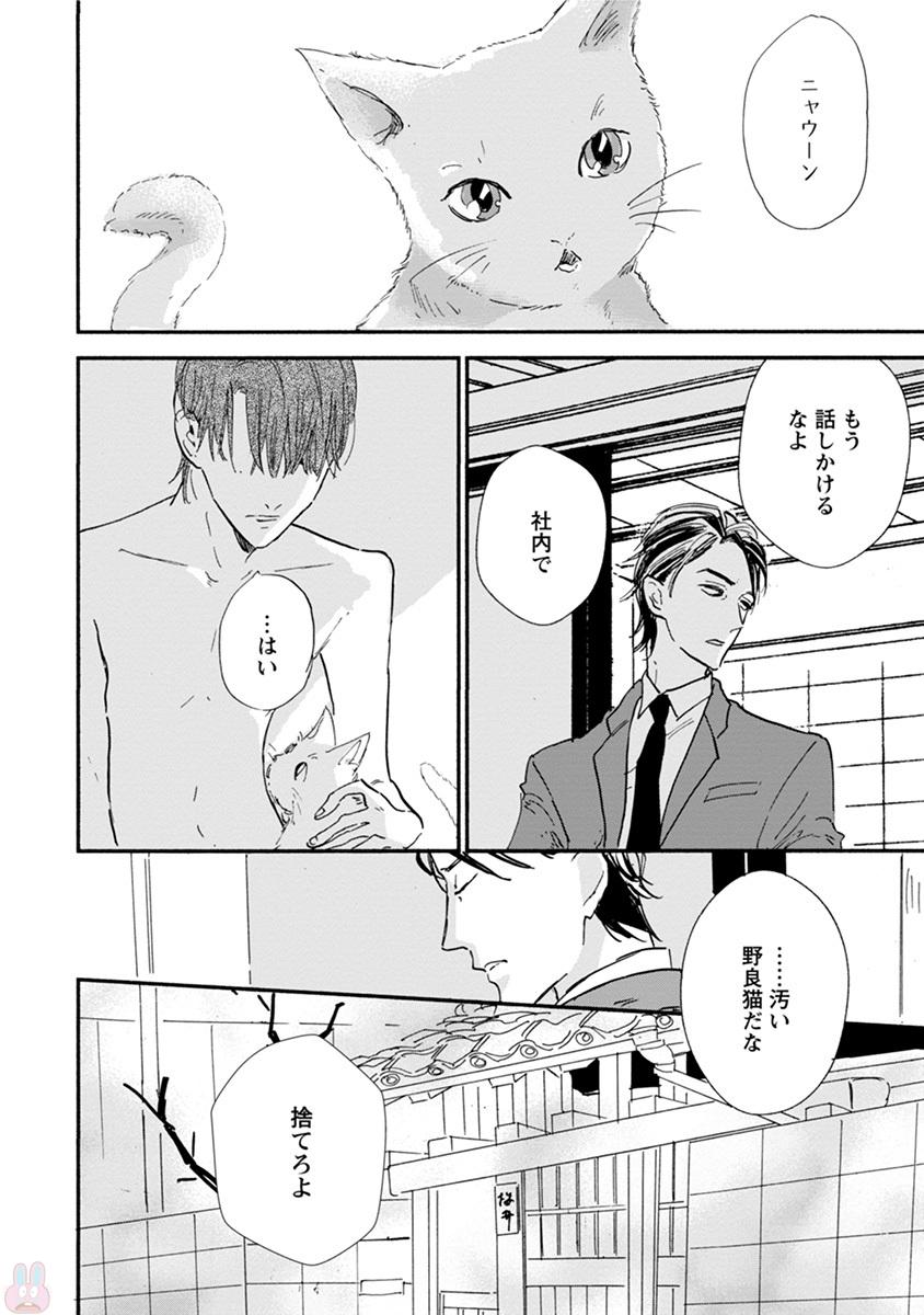 コミックマージナルvol.11