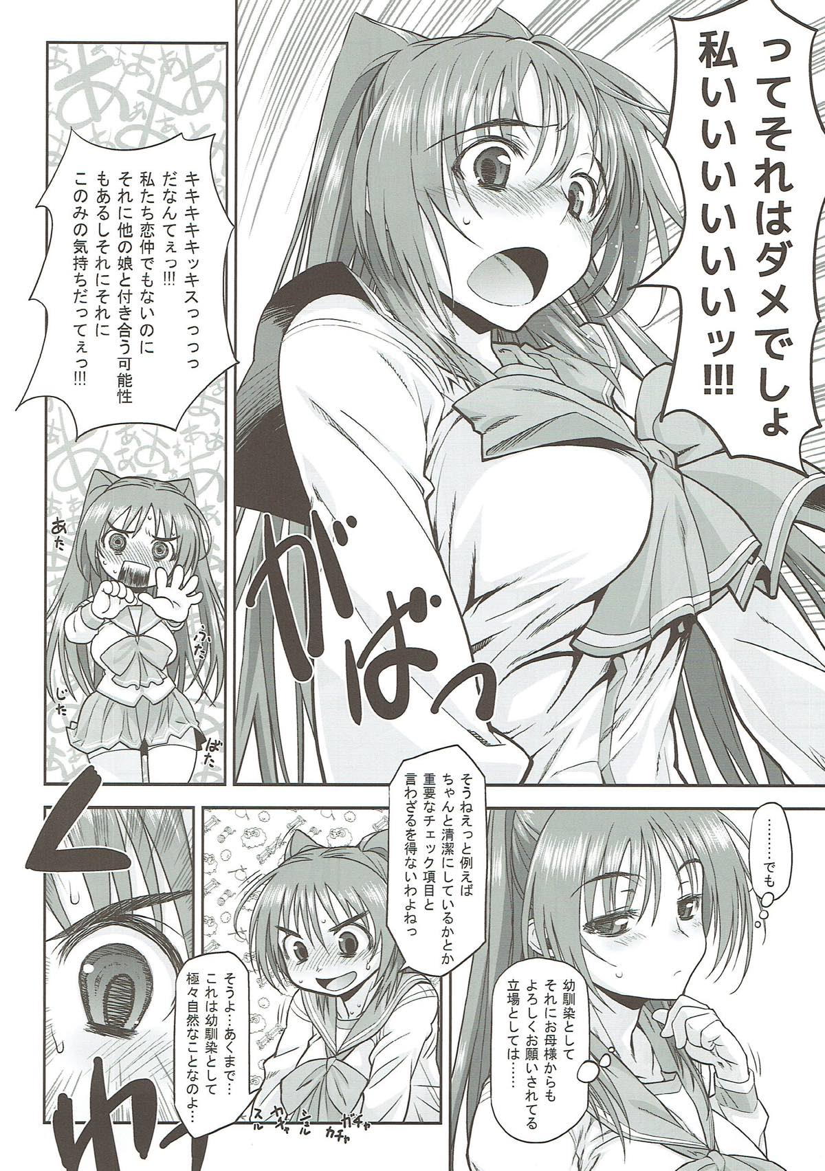 (C88) [やまぐちぷりんと (珠樹やよい)] タマ姉がいっパイ (トゥハート2)