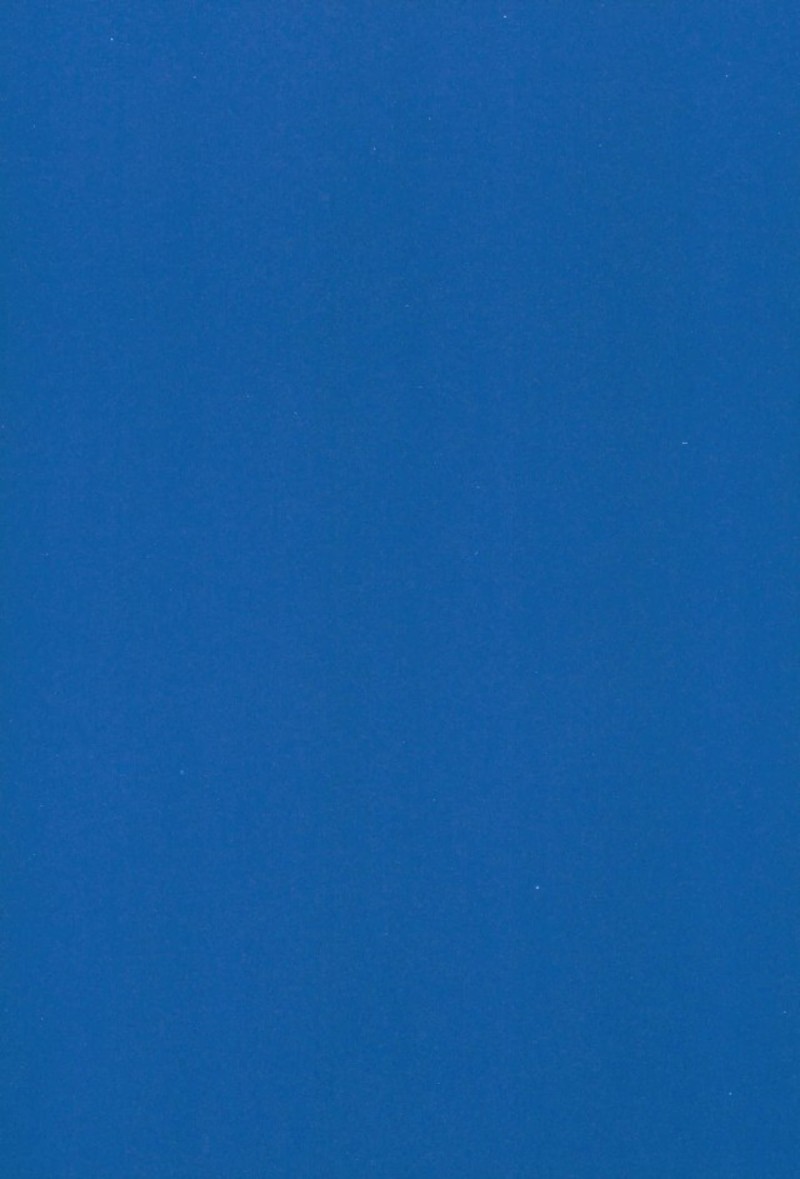 (C93) [顔厨王国 (しせい)] アストルフォとひたすらセックスしてたらいつの間にか世界滅んでたけど別にいい君さえそばにいてくれたら (Fate/Grand Order)