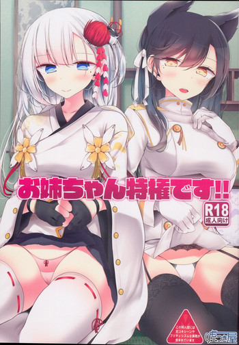 (C93) [嘘つき屋 (大嘘)] お姉ちゃん特権です！！ (アズールレーン) [中国翻訳]