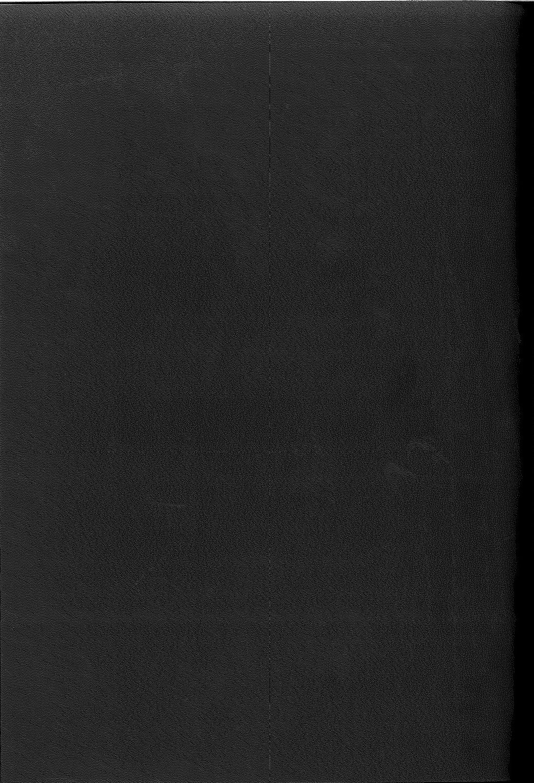 (C93) [緊急発進 (コアヤアコ)] 私の正しい使い方 (Fate/Grand Order)