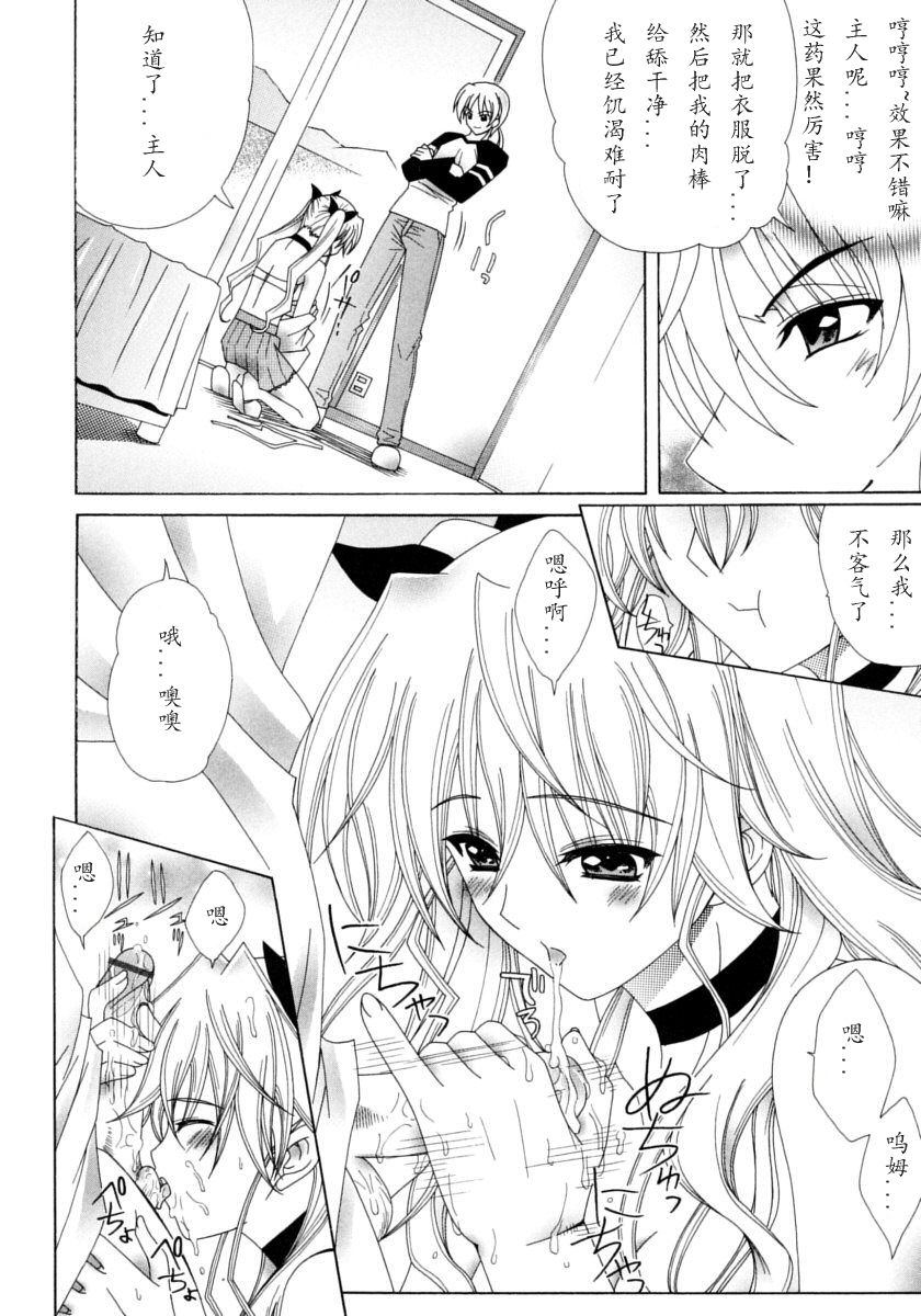 [ラピスラズリ] DUAL GIRLS [中国翻訳]