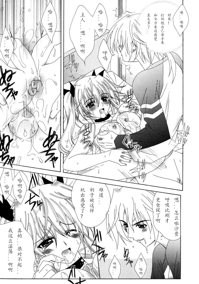 [ラピスラズリ] DUAL GIRLS [中国翻訳]