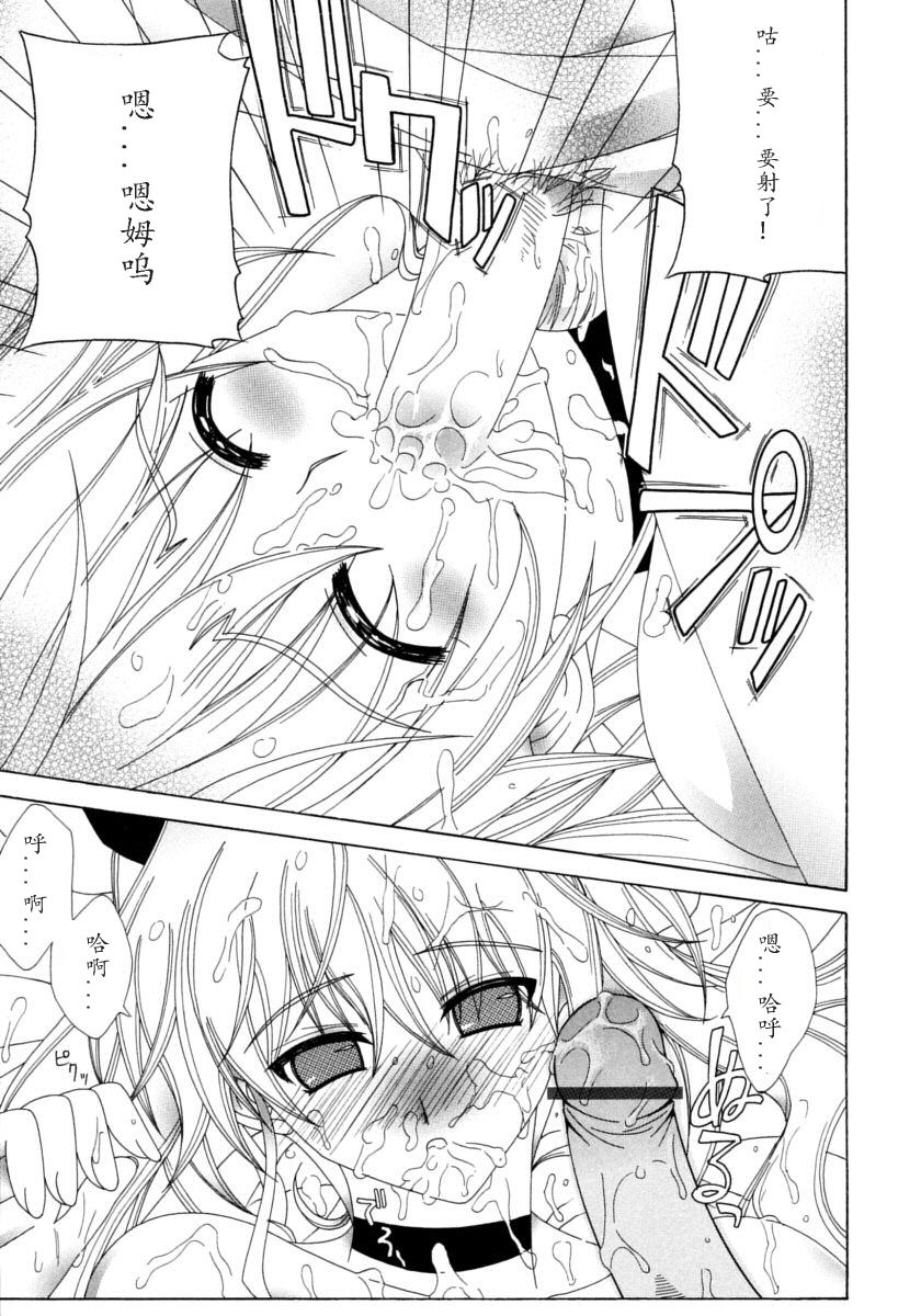 [ラピスラズリ] DUAL GIRLS [中国翻訳]