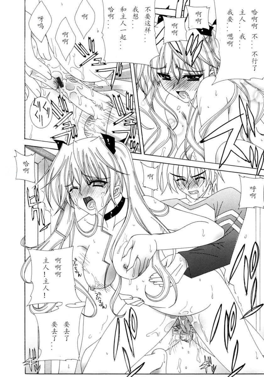 [ラピスラズリ] DUAL GIRLS [中国翻訳]